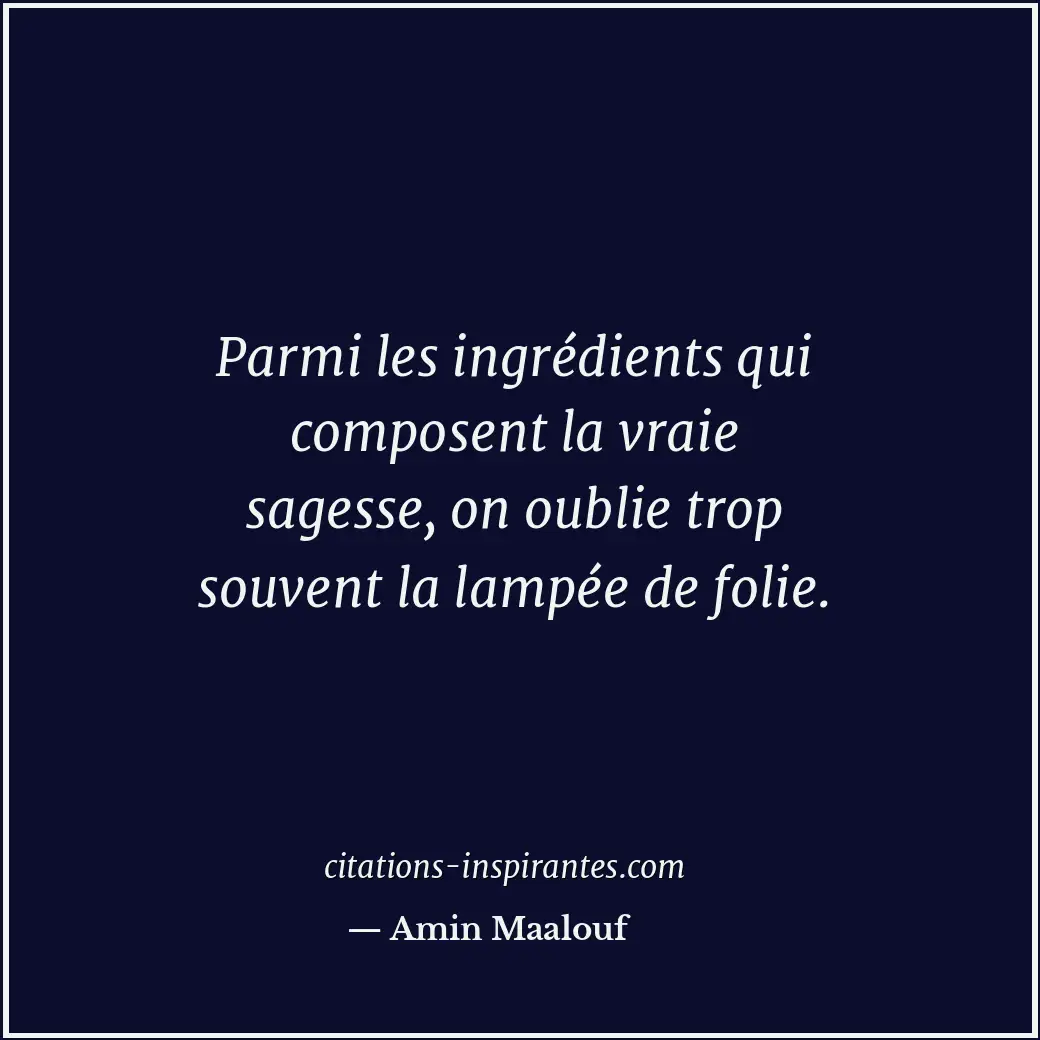 Parmi les ingrédients qui composent la vraie sagesse, on oublie trop souvent la... Citation de Amin Maalouf