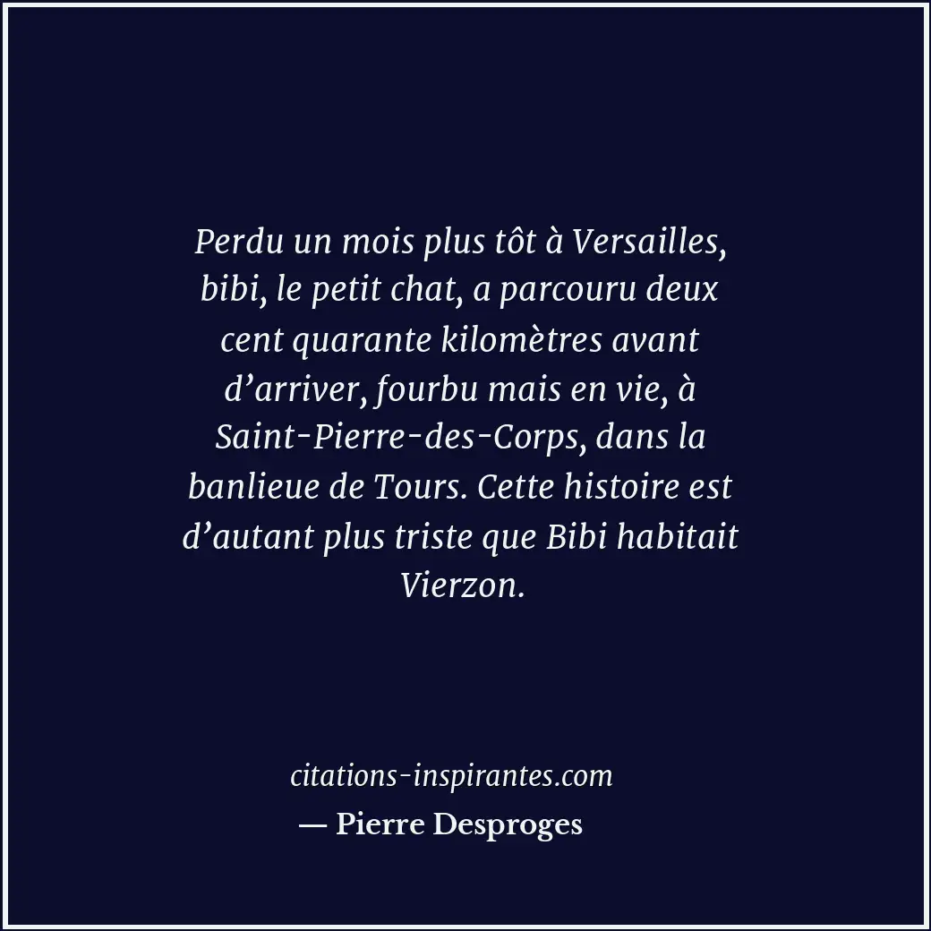 Perdu un mois plus tôt à Versailles, bibi, le petit chat, a parcouru deux cent q... Citation de Pierre Desproges