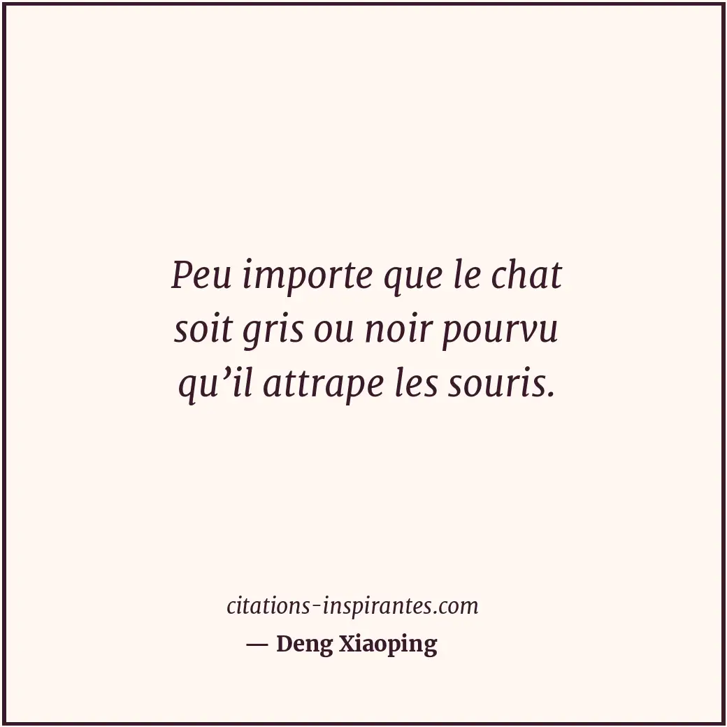 Peu importe que le chat soit gris ou noir pourvu qu’il attrape les souris. Citation de Deng Xiaoping