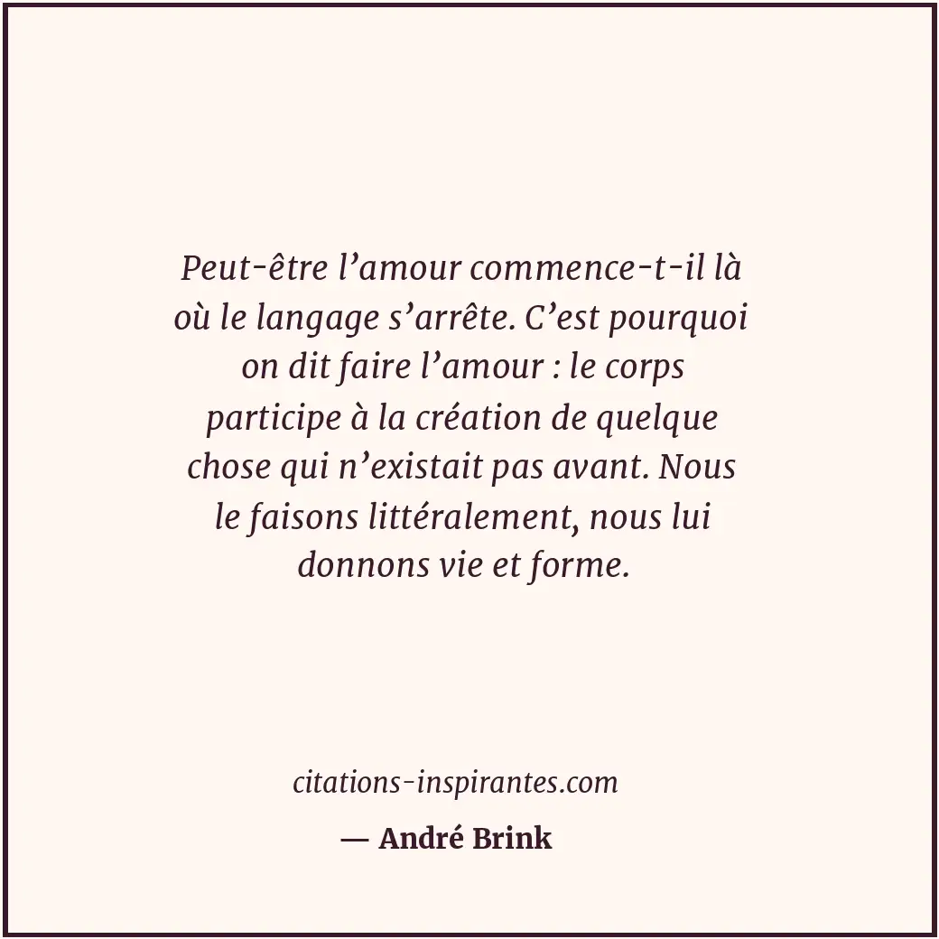 Citation de André Brink