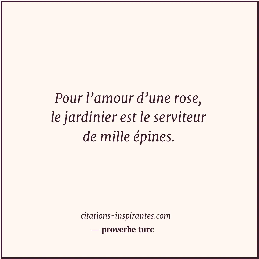 Citation de proverbe turc