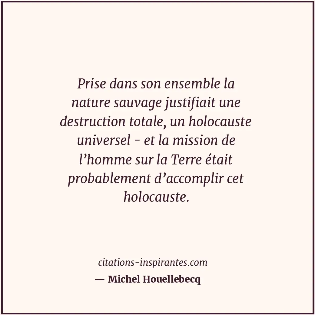 Citation de Michel Houellebecq