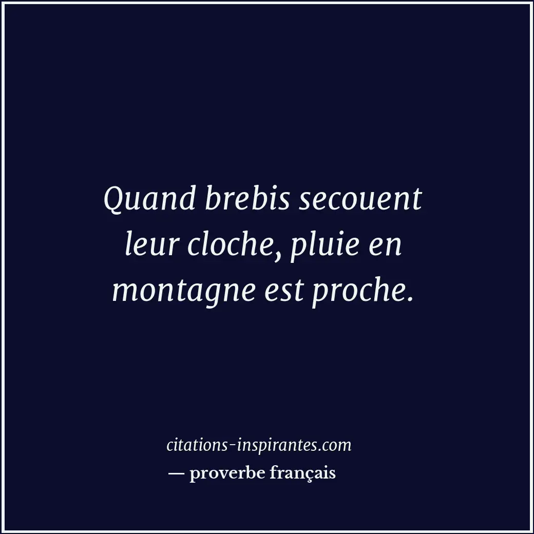 Citation de proverbe français