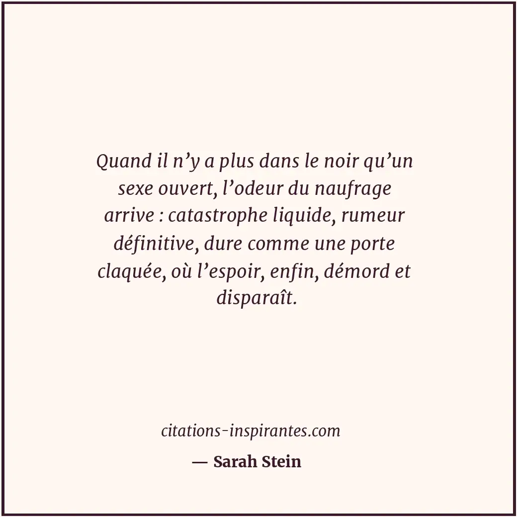 Quand il n’y a plus dans le noir qu’un sexe ouvert, l’odeur du naufrage arrive :... Citation de Sarah Stein