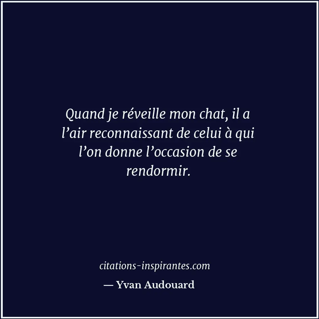Quand je réveille mon chat, il a l’air reconnaissant de celui à qui l’on donne l... Citation de Yvan Audouard