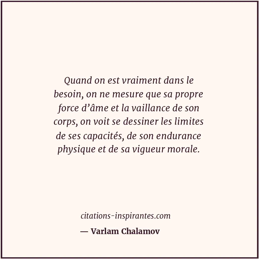 Quand on est vraiment dans le besoin, on ne mesure que sa propre force d’âme et... Citation de Varlam Chalamov