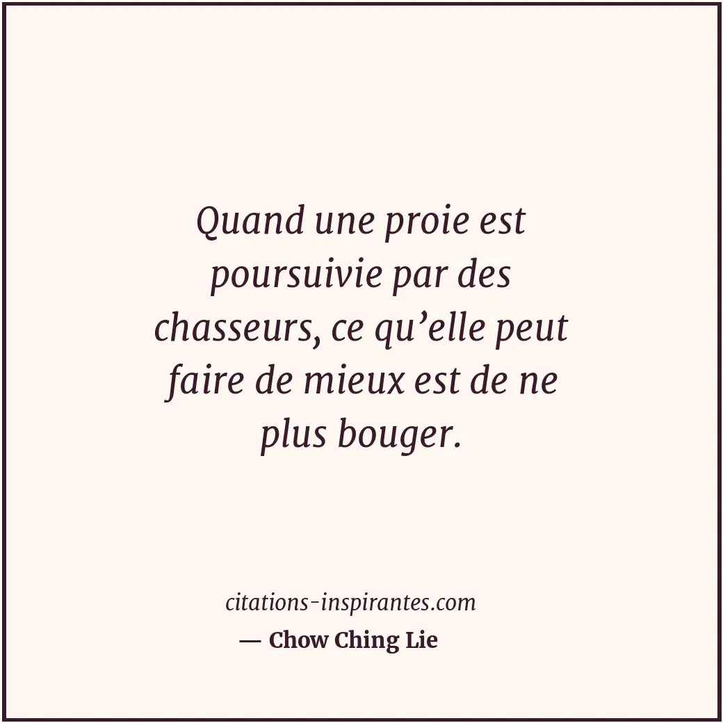 Quand une proie est poursuivie par des chasseurs, ce qu’elle peut faire de mieux... Citation de Chow Ching Lie