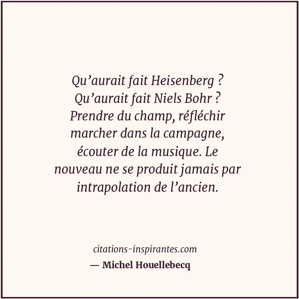 Qu’aurait fait Heisenberg ? Qu’aurait fait Niels Bohr ? Prendre du champ, réfléc... Citation de Michel Houellebecq