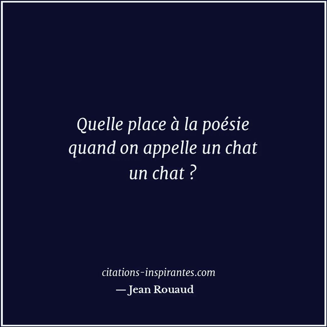 Quelle place à la poésie quand on appelle un chat un chat ? Citation de Jean Rouaud