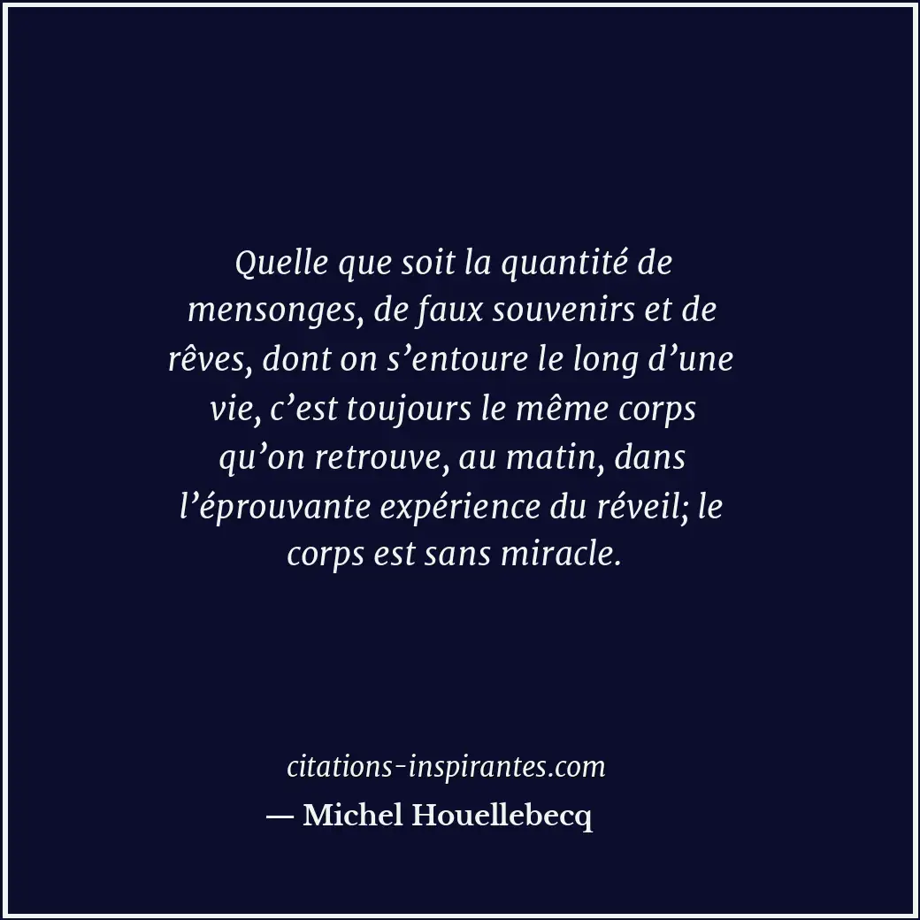 Citation de Michel Houellebecq