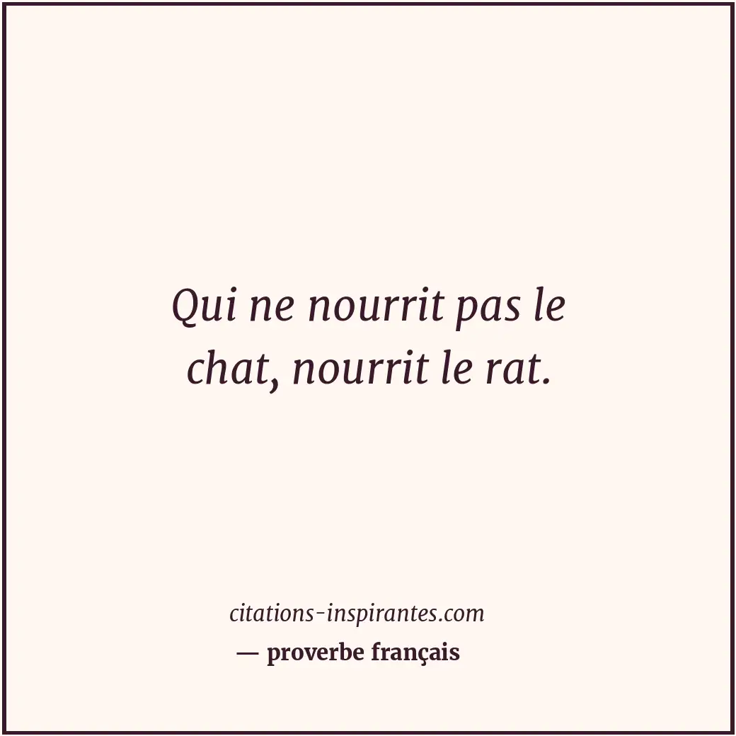 Qui ne nourrit pas le chat, nourrit le rat. Citation de proverbe français