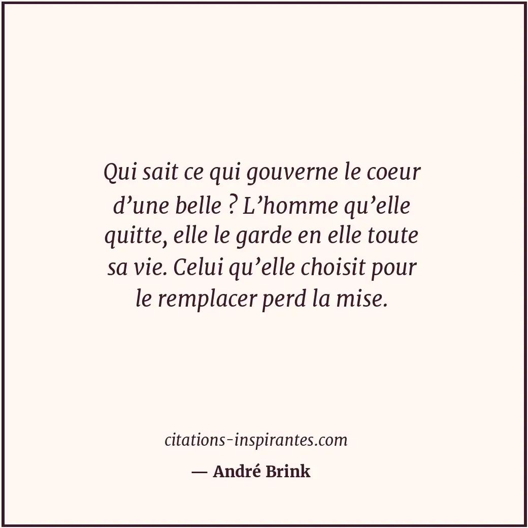 Citation de André Brink