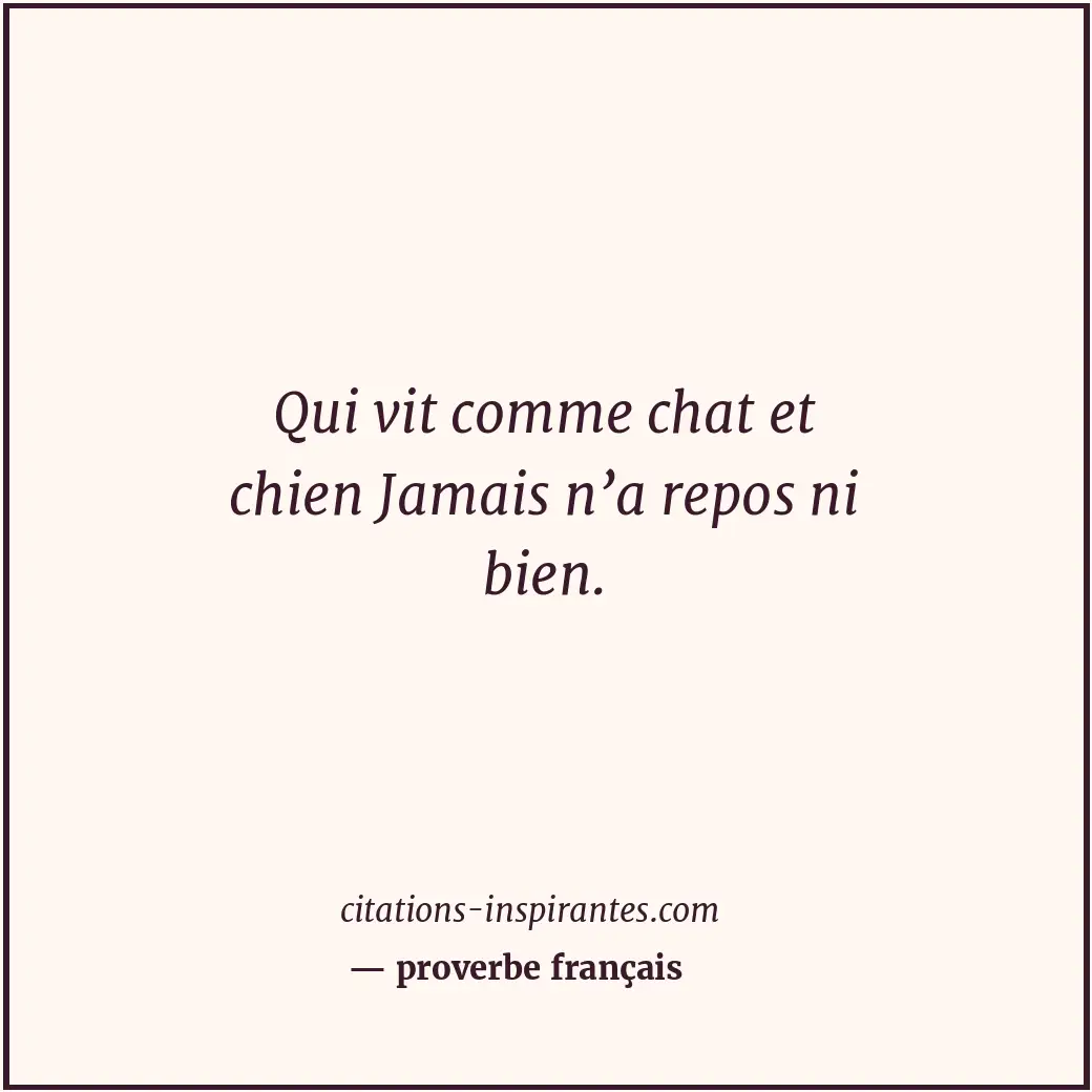 Qui vit comme chat et chien Jamais n’a repos ni bien. Citation de proverbe français