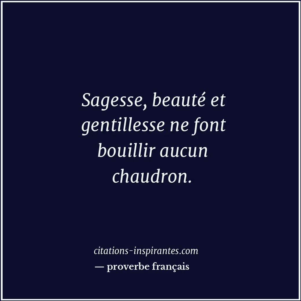Sagesse, beauté et gentillesse ne font bouillir aucun chaudron. Citation de proverbe français