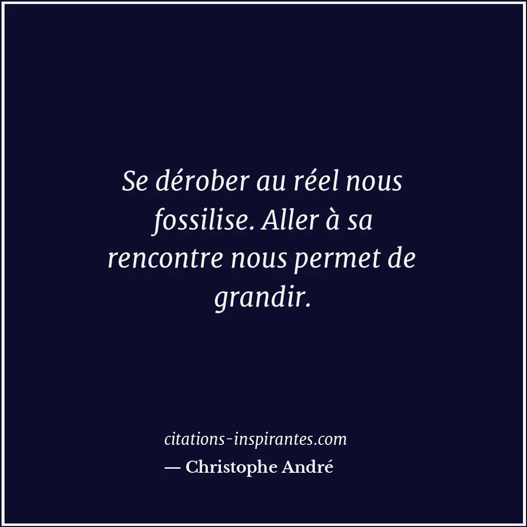 Citation de Christophe André