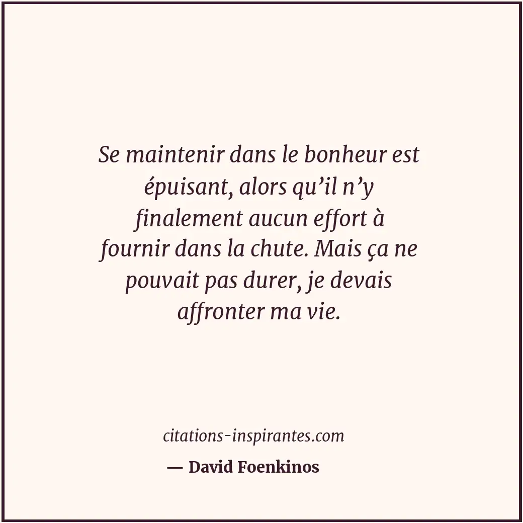 Citation de David Foenkinos