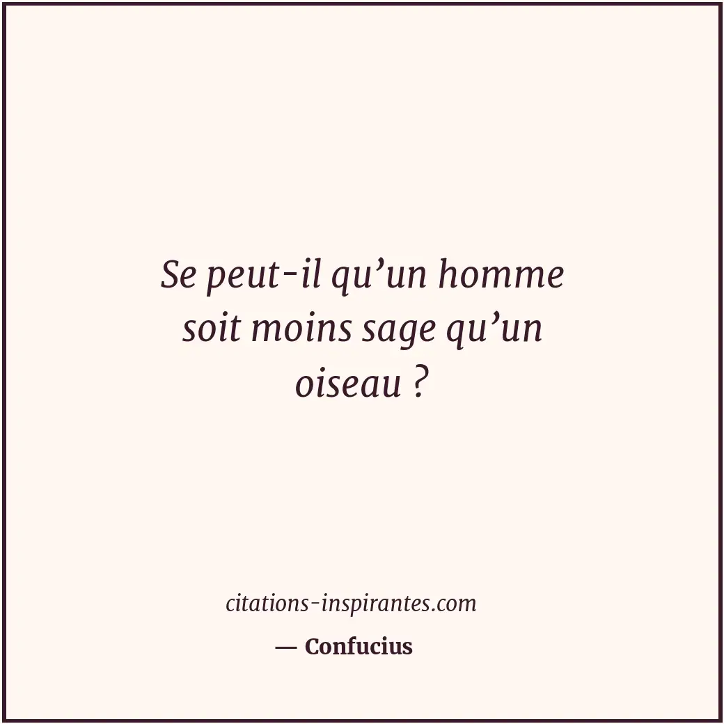 Citation de Confucius