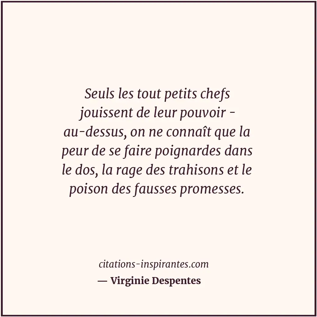Citation de Virginie Despentes