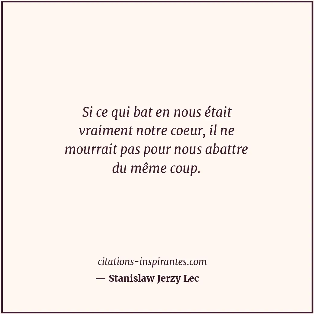 Citation de Stanislaw Jerzy Lec