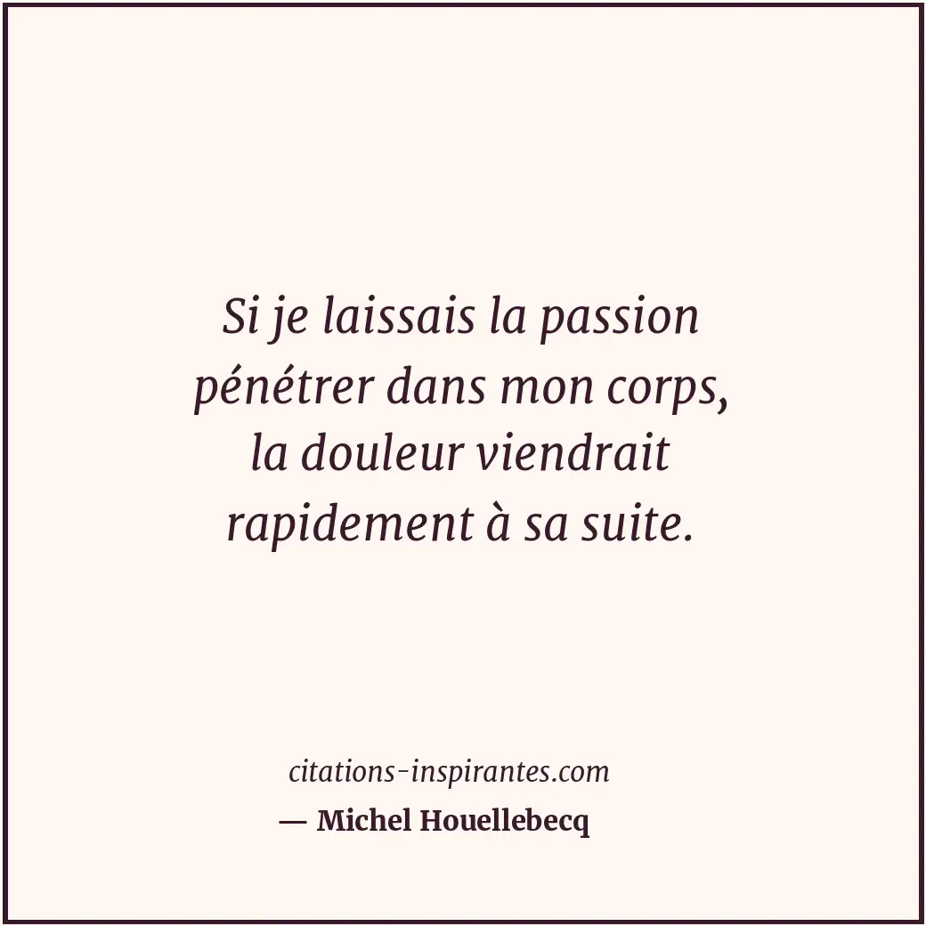 Citation de Michel Houellebecq