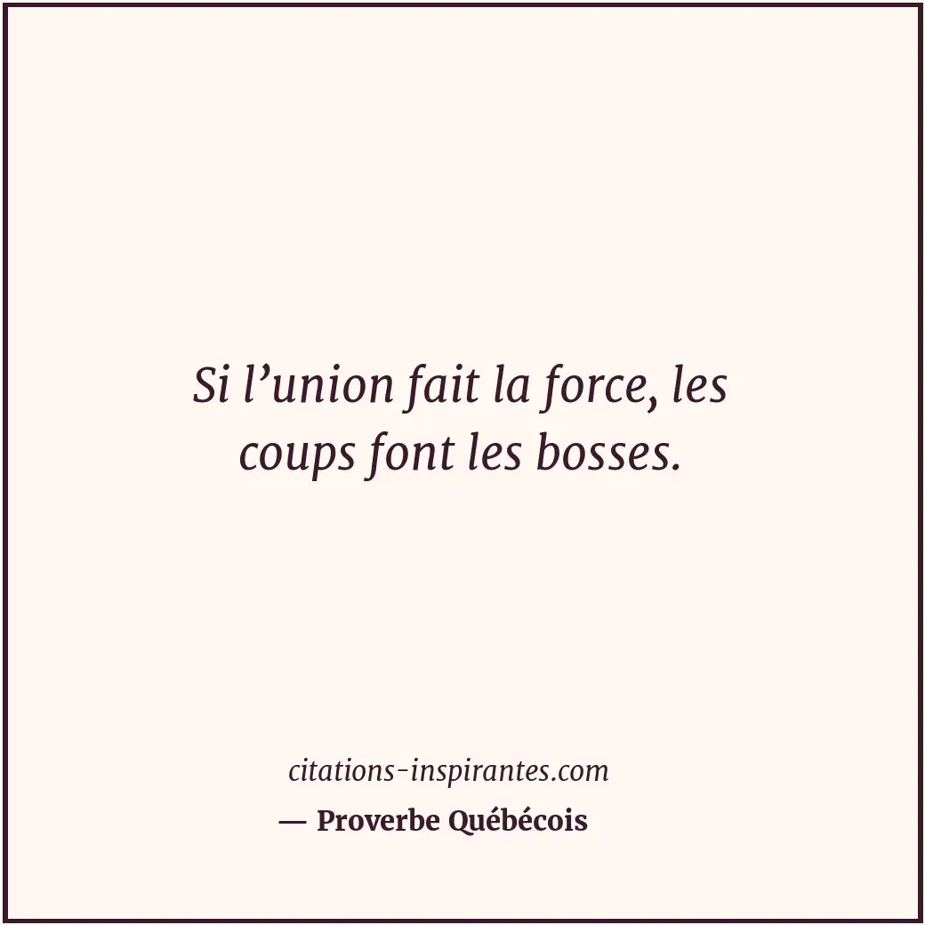 Si l’union fait la force, les coups font les bosses. Citation de Proverbe Québécois