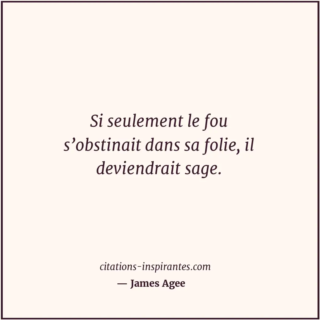 Si seulement le fou s’obstinait dans sa folie, il deviendrait sage. Citation de James Agee