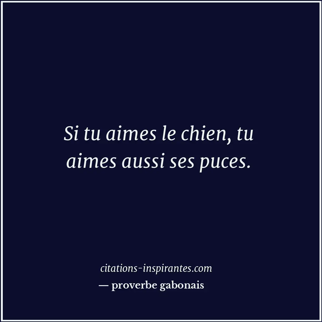Si tu aimes le chien, tu aimes aussi ses puces. Citation de proverbe gabonais