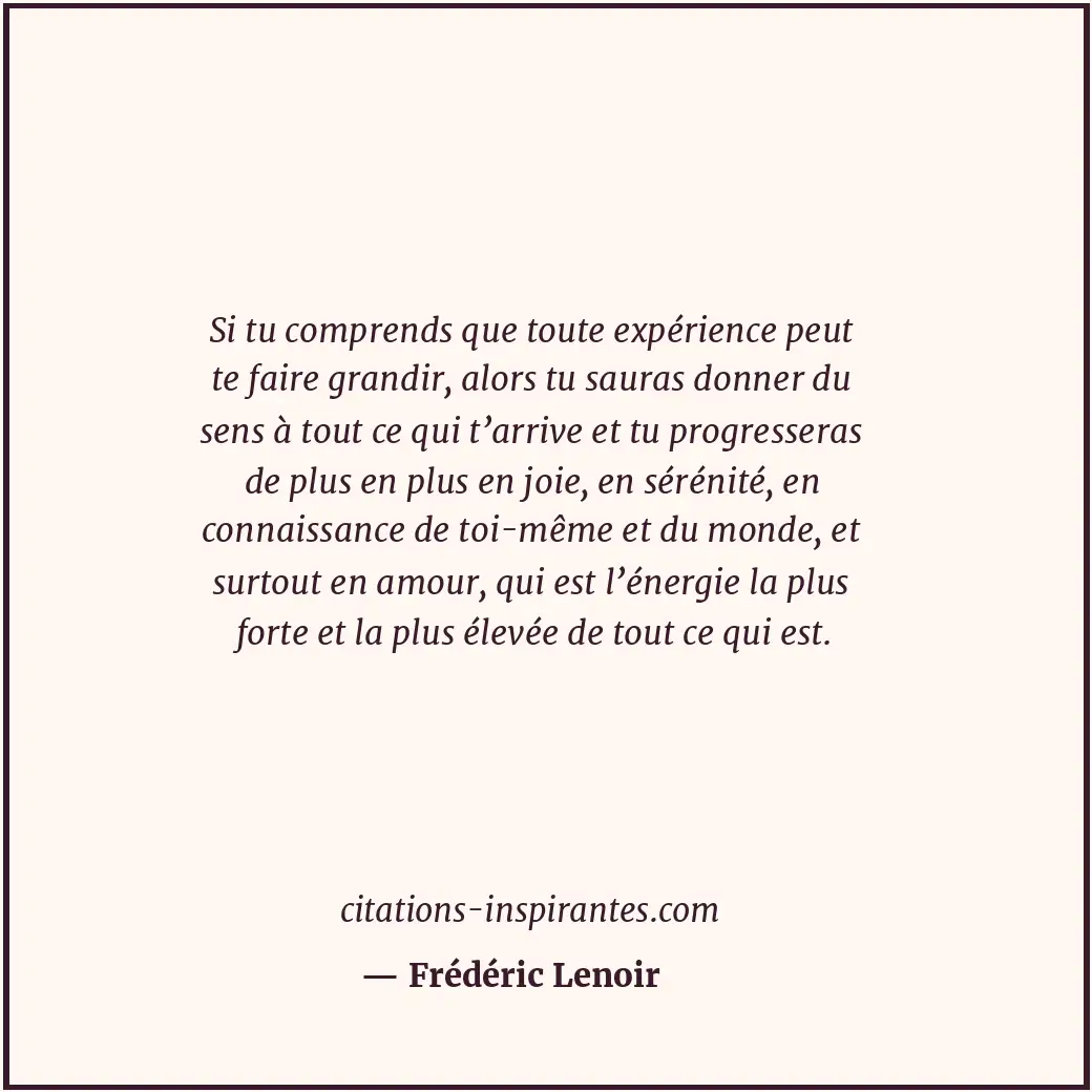 Si tu comprends que toute expérience peut te faire grandir, alors tu sauras donn... Citation de Frédéric Lenoir