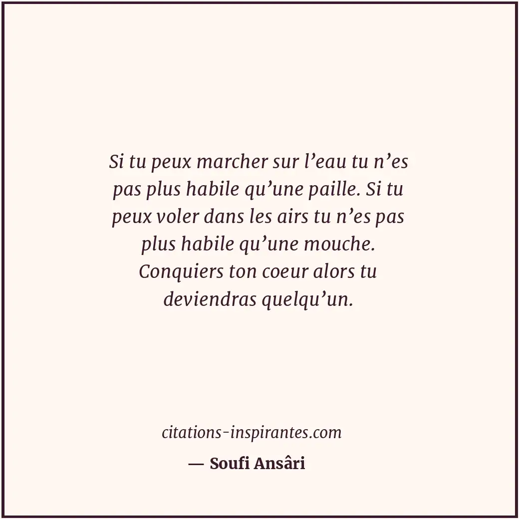 Citation de Soufi Ansâri