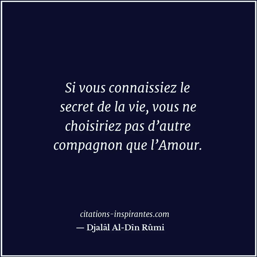 Si vous connaissiez le secret de la vie, vous ne choisiriez pas d’autre compagno... Citation de Djalâl Al-Dîn Rûmi