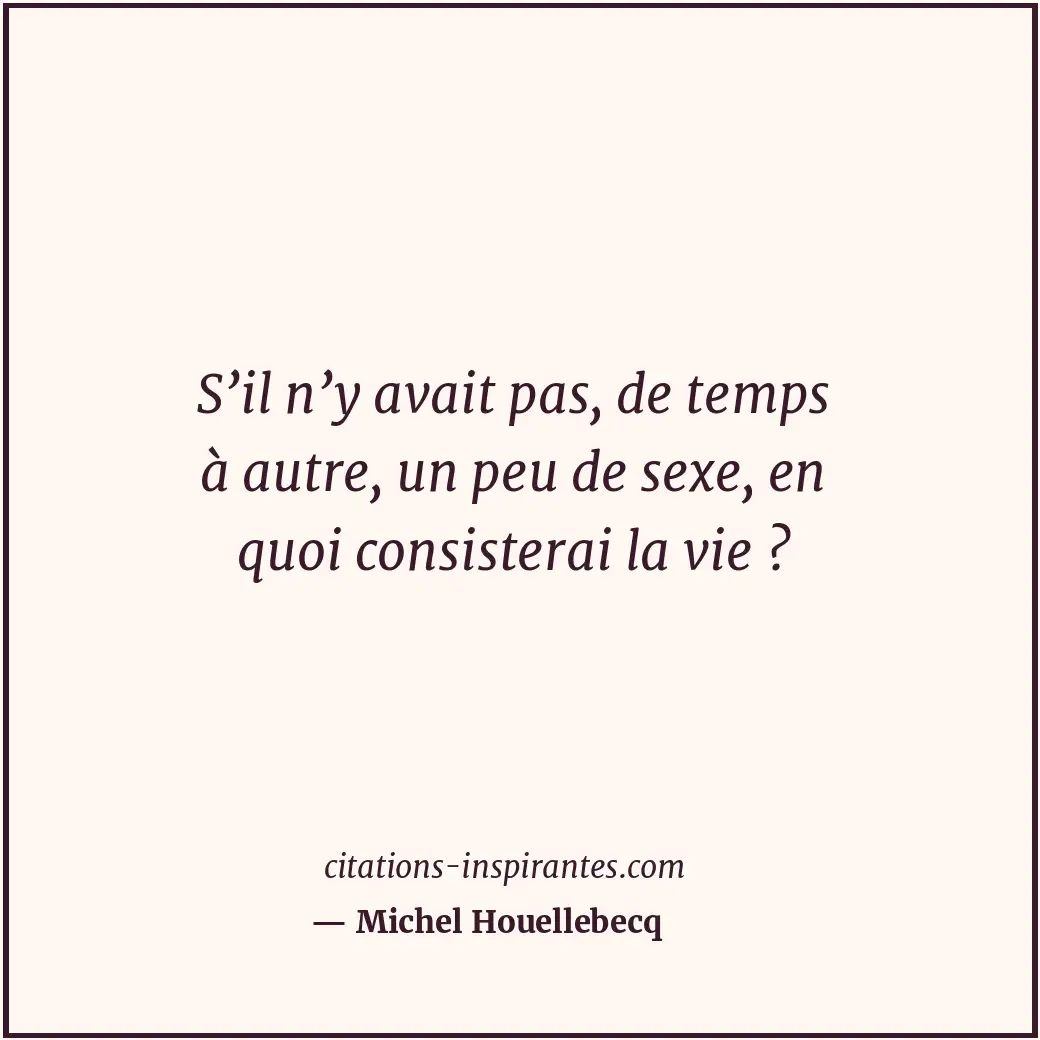 Citation de Michel Houellebecq