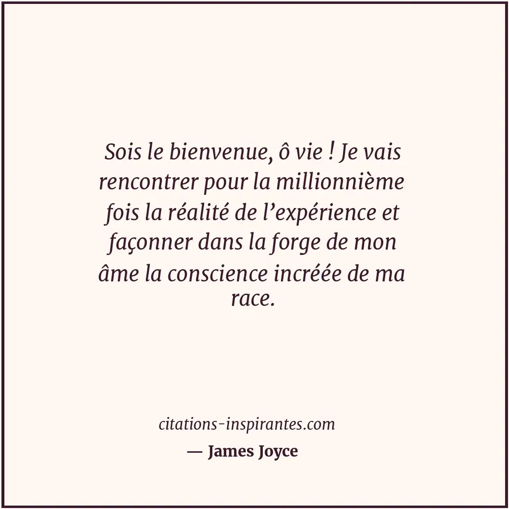 Citation de James Joyce