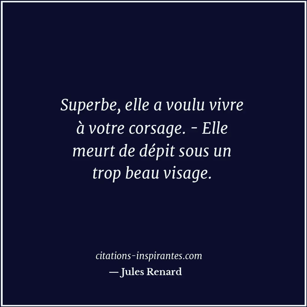 Citation de Jules Renard