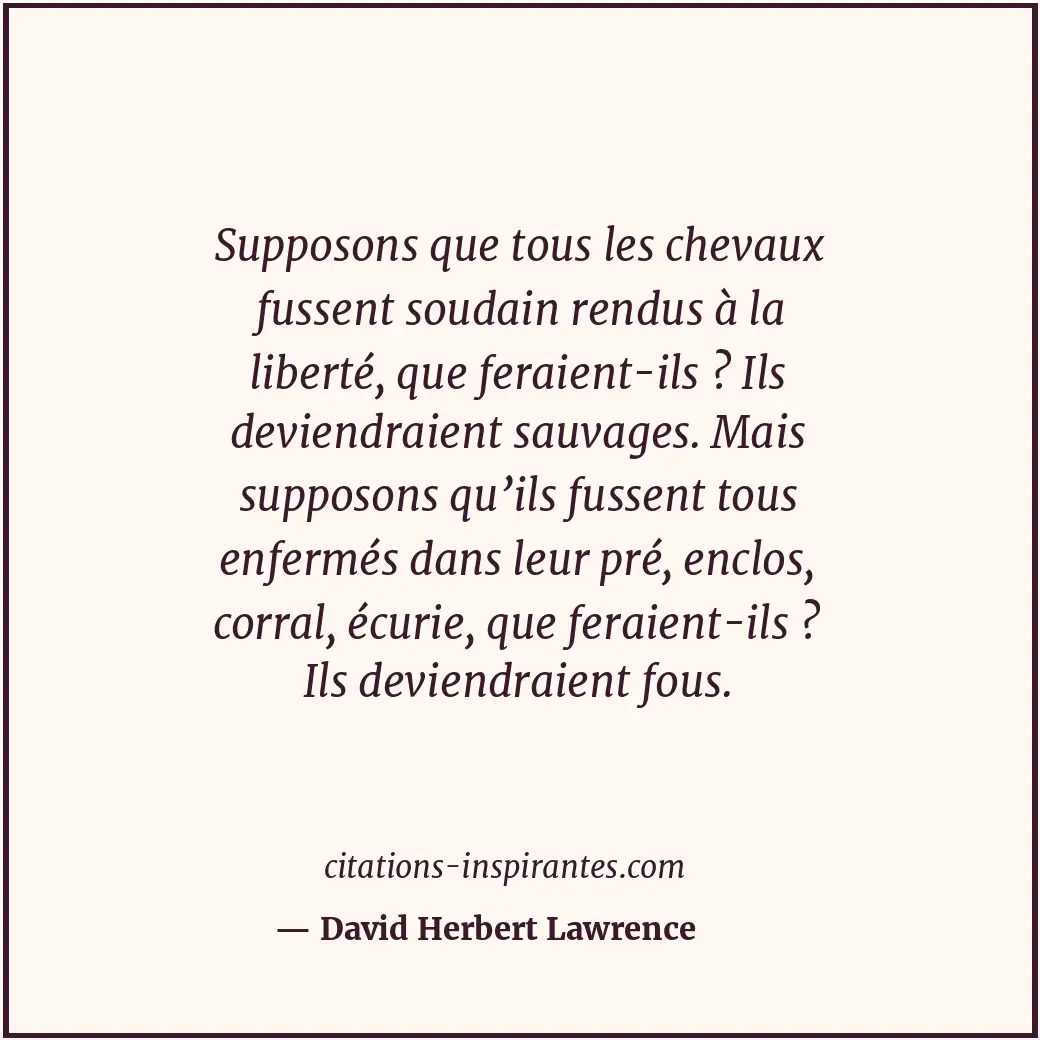 Citation de David Herbert Lawrence