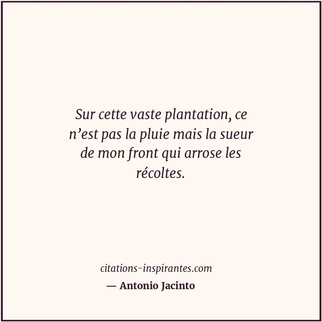 Citation de Antonio Jacinto