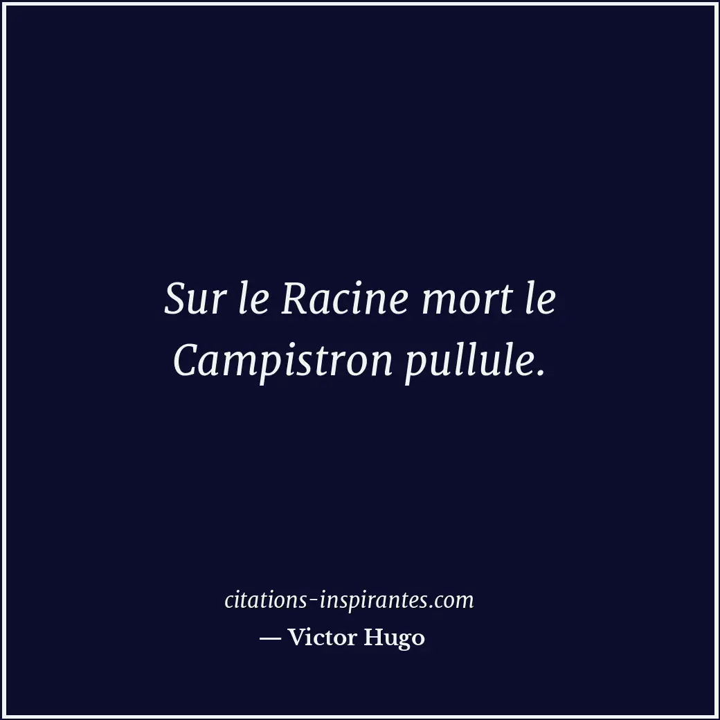 Citation de Victor Hugo