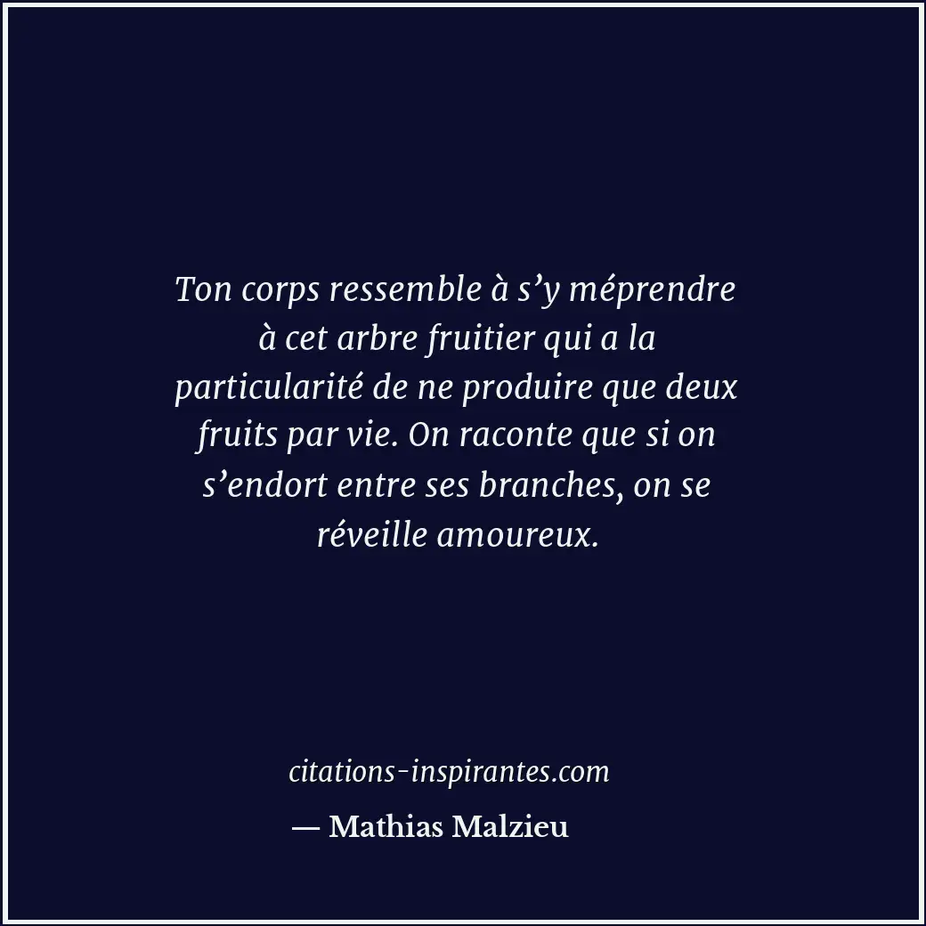 Citation de Mathias Malzieu
