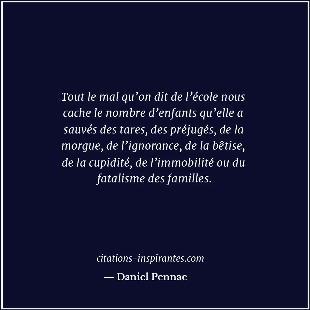 Citation de Daniel Pennac