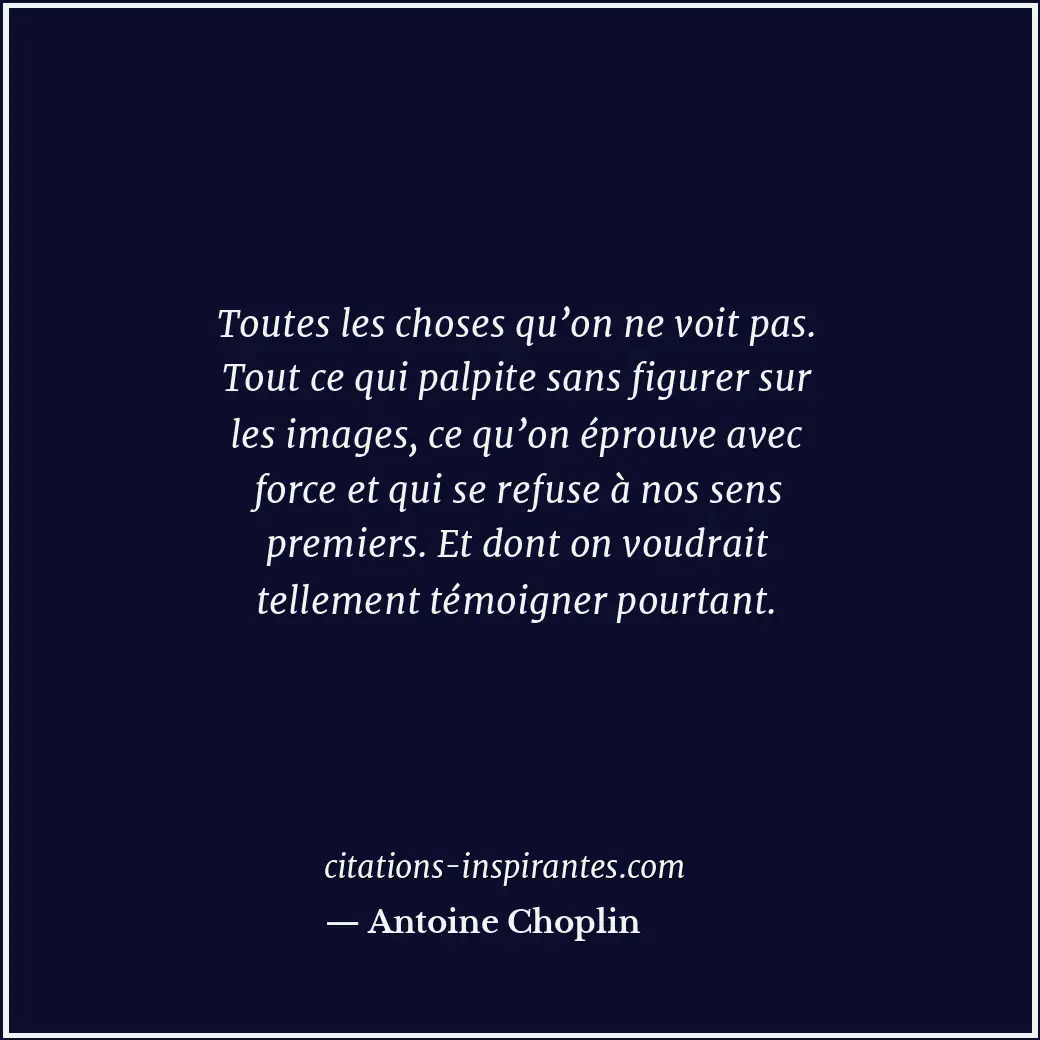 Toutes les choses qu’on ne voit pas. Tout ce qui palpite sans figurer sur les im... Citation de Antoine Choplin