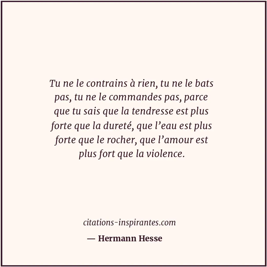 Citation de Hermann Hesse