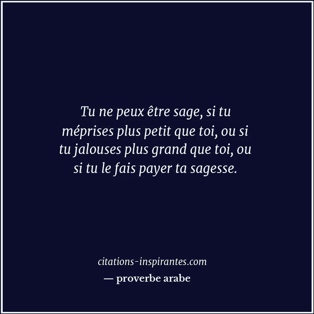 Tu ne peux être sage, si tu méprises plus petit que toi, ou si tu jalouses plus... Citation de proverbe arabe