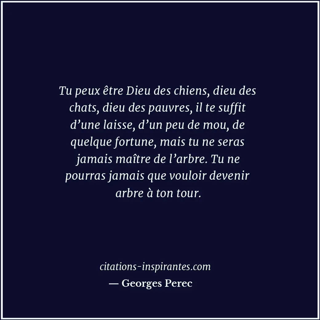 Tu peux être Dieu des chiens, dieu des chats, dieu des pauvres, il te suffit d’u... Citation de Georges Perec