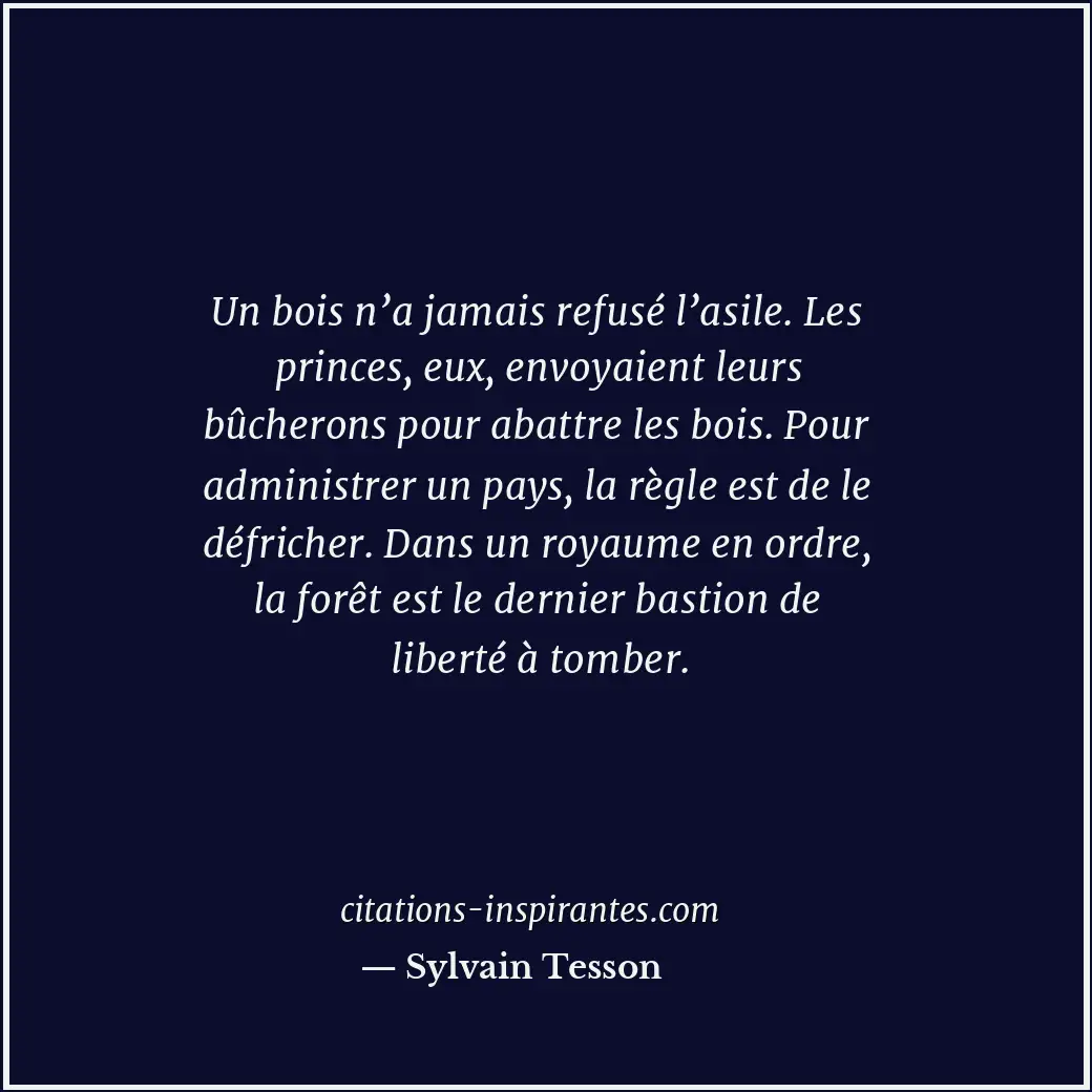 Un bois n’a jamais refusé l’asile. Les princes, eux, envoyaient leurs bûcherons... Citation de Sylvain Tesson