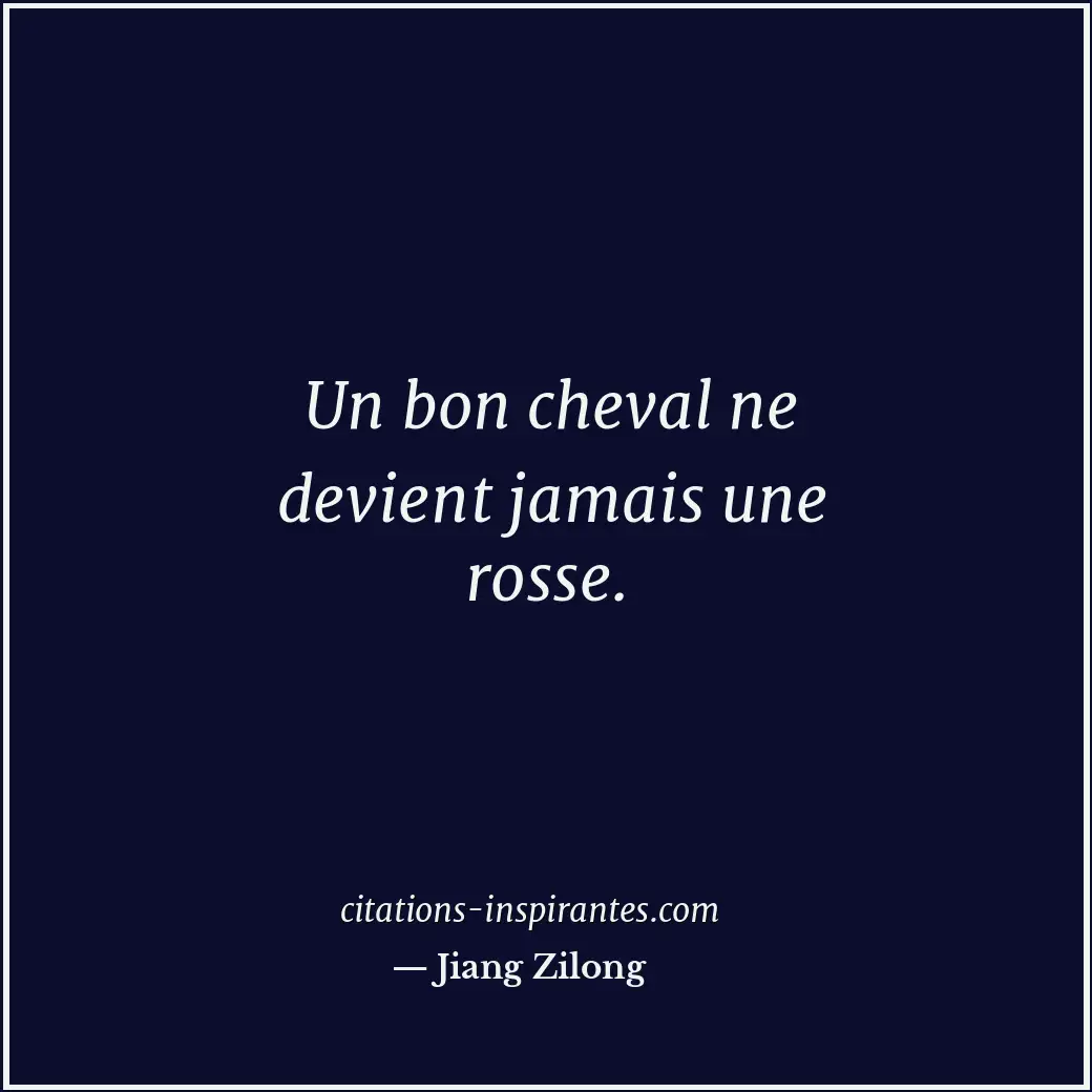 Citation de Jiang Zilong