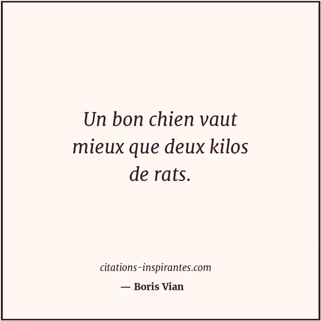 Un bon chien vaut mieux que deux kilos de rats. Citation de Boris Vian