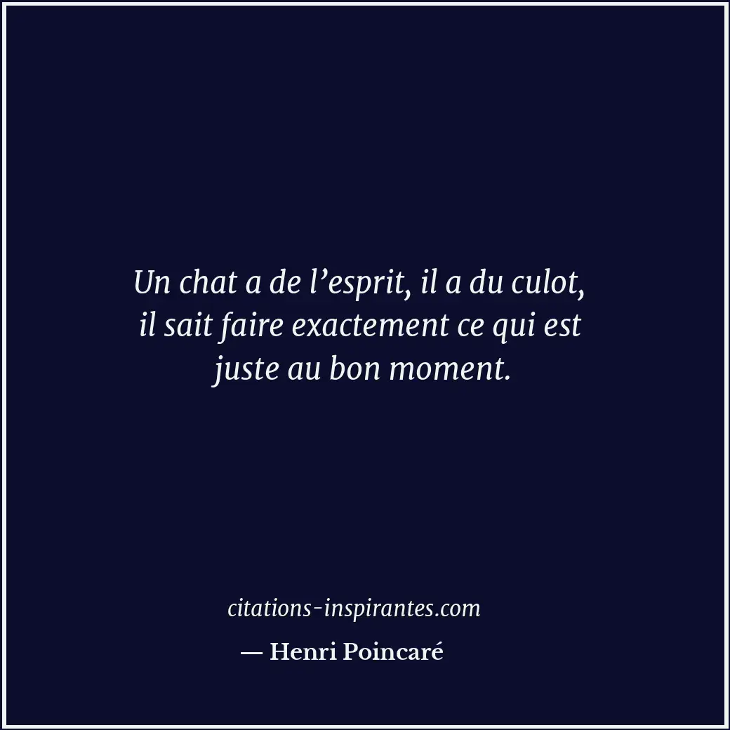 Un chat a de l’esprit, il a du culot, il sait faire exactement ce qui est juste... Citation de Henri Poincaré