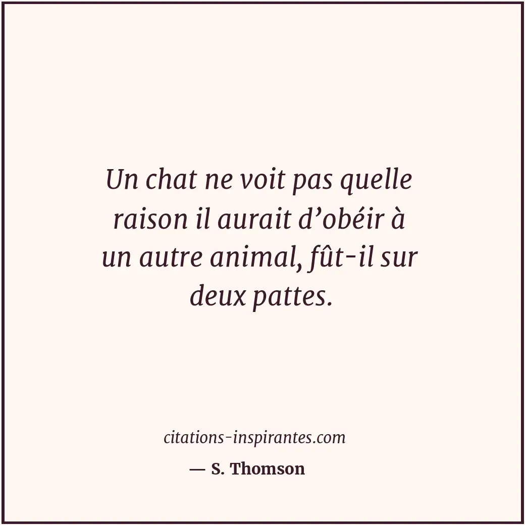 Un chat ne voit pas quelle raison il aurait d’obéir à un autre animal, fût-il su... Citation de S. Thomson