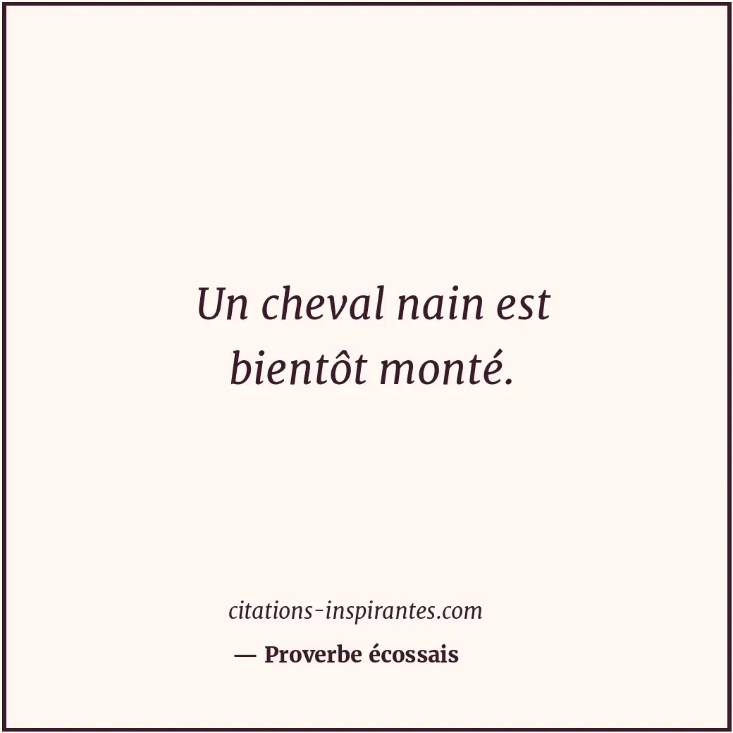 Citation de Proverbe écossais