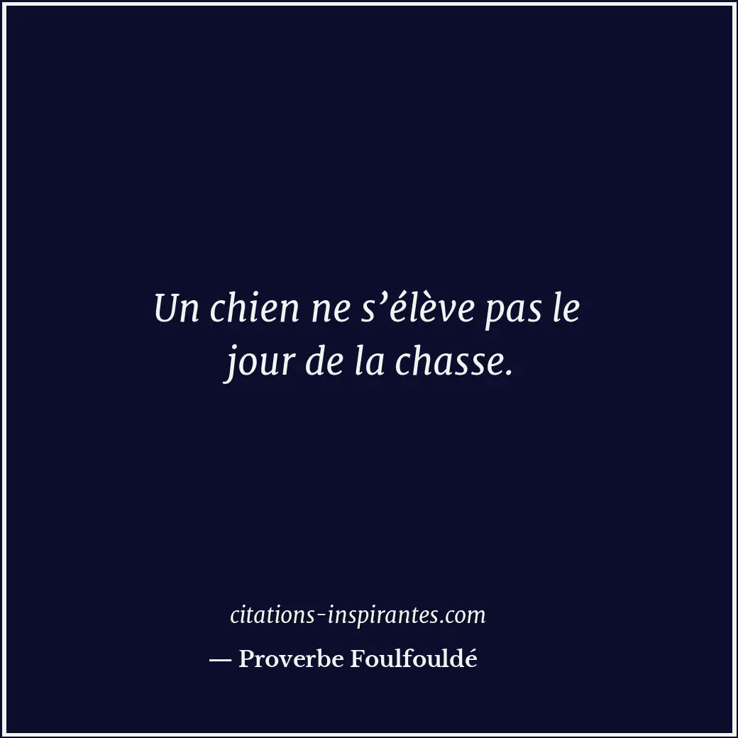Un chien ne s’élève pas le jour de la chasse. Citation de Proverbe Foulfouldé
