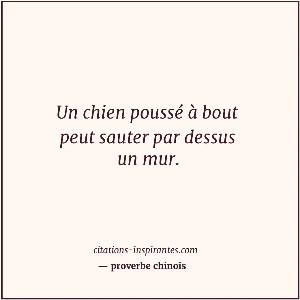 Un chien poussé à bout peut sauter par dessus un mur. Citation de proverbe chinois
